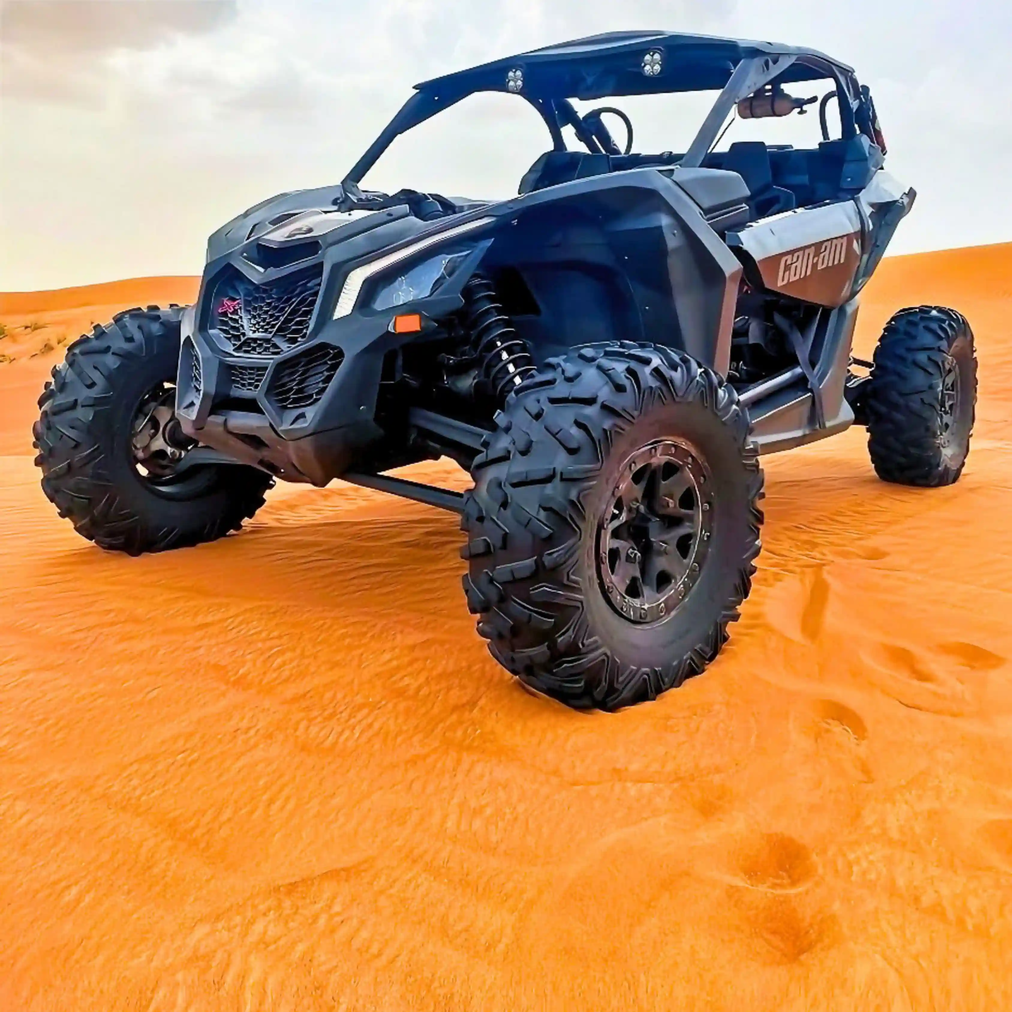 Can-Am 1000cc (2-Seater)