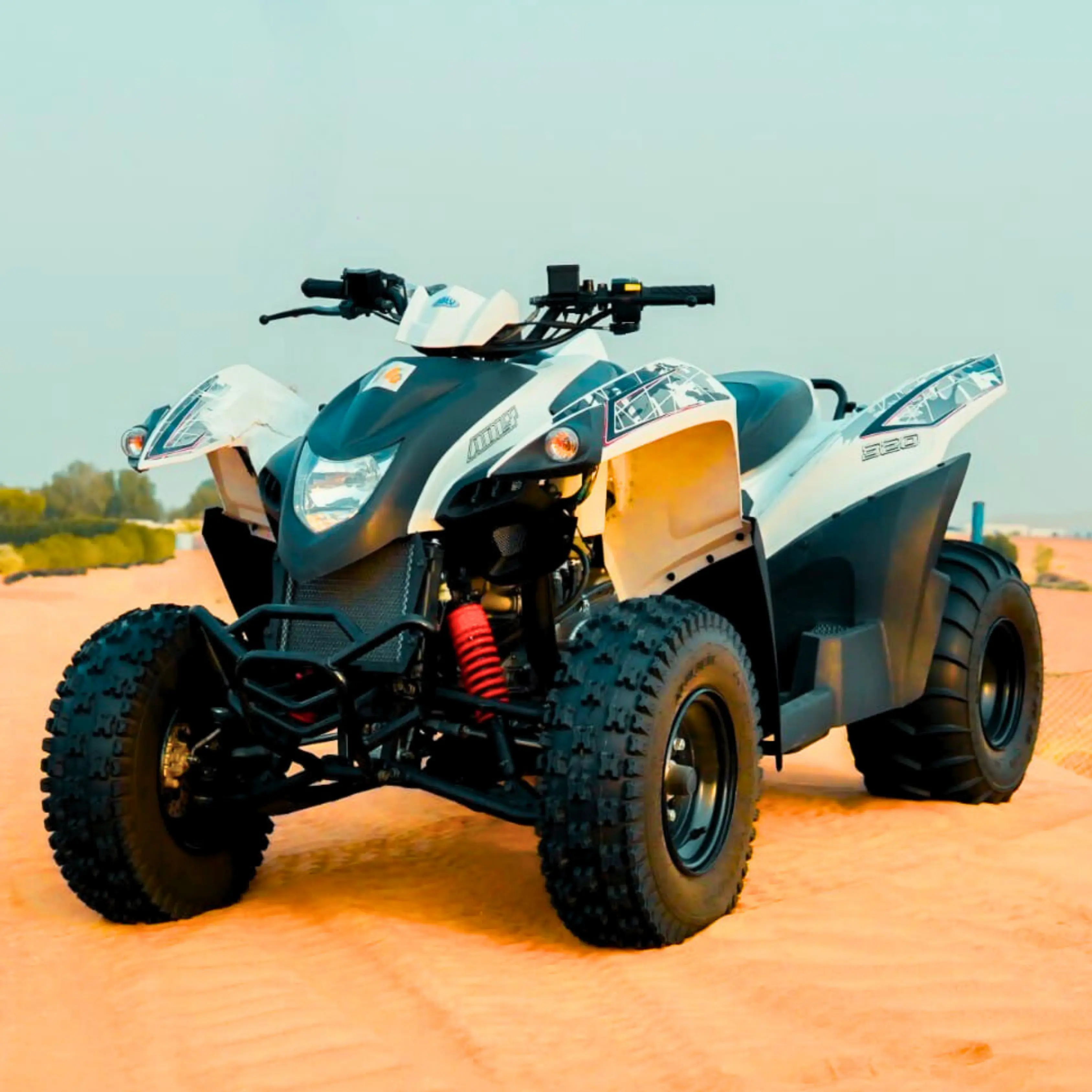 Adly Quad Bike 320cc