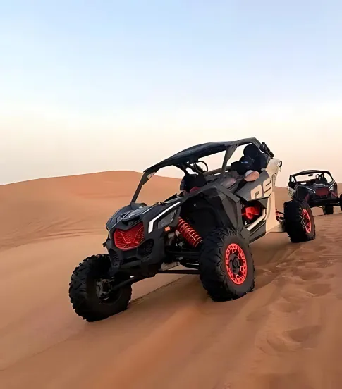 Outdoor adventure excursions with professional guides and well-maintained vehicles in the desert